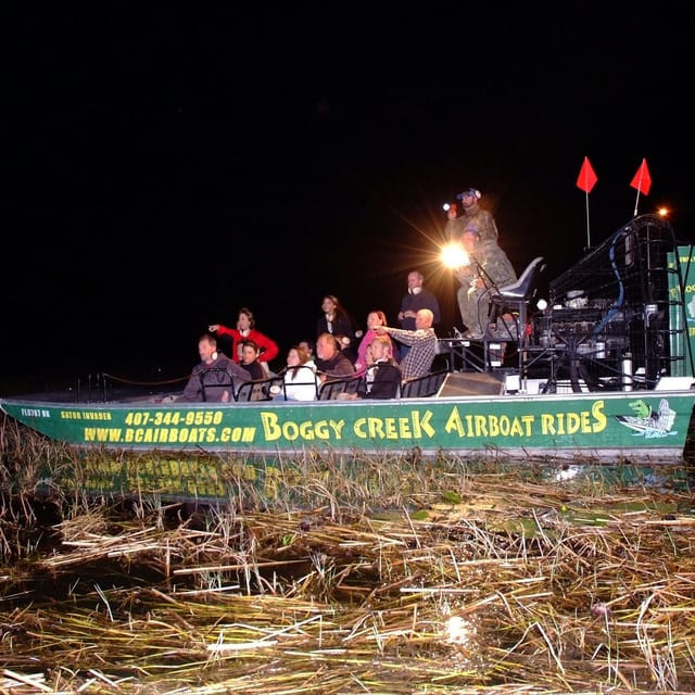 Everglades at Night: 1-Hour Boggy Creek Airboat Tour - Photo 1 of 7